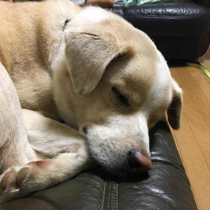 8ef8184a 3d54 4481 89a6 469d717b0ed0 1538217673004