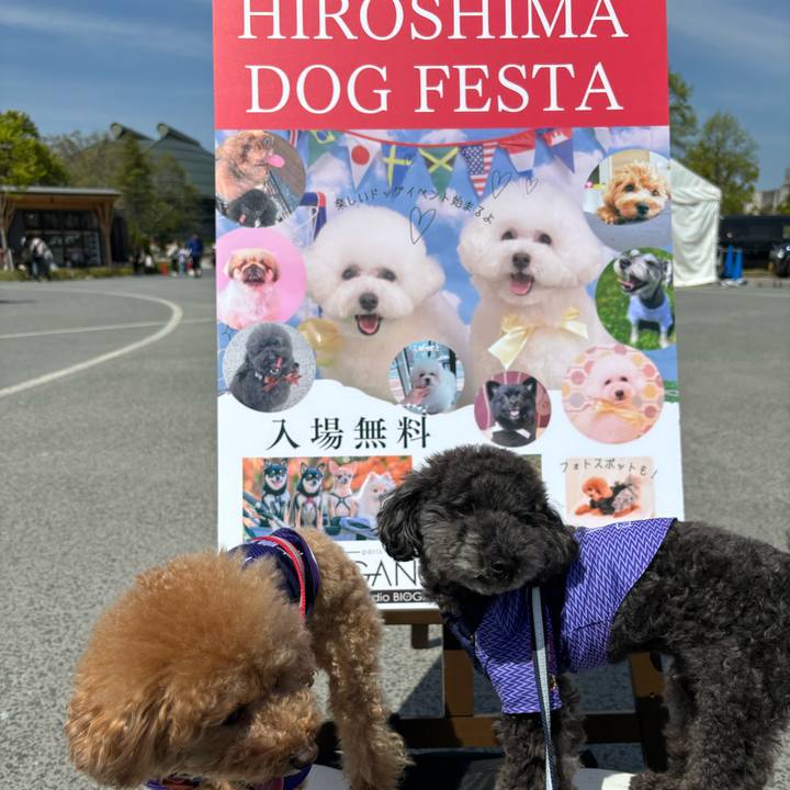 8ef844c2 5b17 4766 82d4 538c05ac0a24 1713351665214