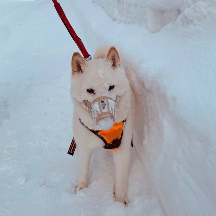 8ef850f4 f78a 4384 8aba 73978f40cb3d 1676500283185