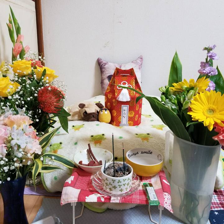 8ef85a6e d353 4fab 8f59 256de1188602 1635047308536