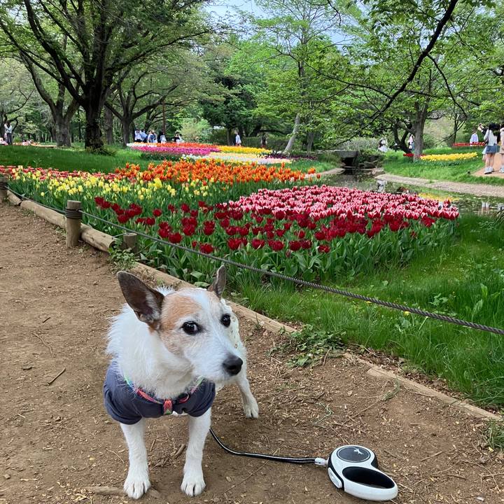 8ef8a829 0c21 4f57 86fd 307787935bc2 1745364041811