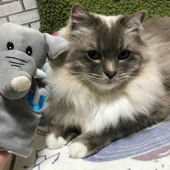 8ef8c736 b7a9 4498 85ce c88e8210a205 1518963110457