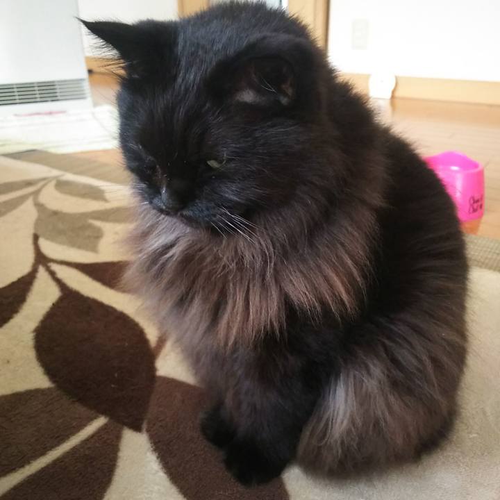 8ef8ca3d 4328 4d50 834b 79e204d7b2ce 1574034321859