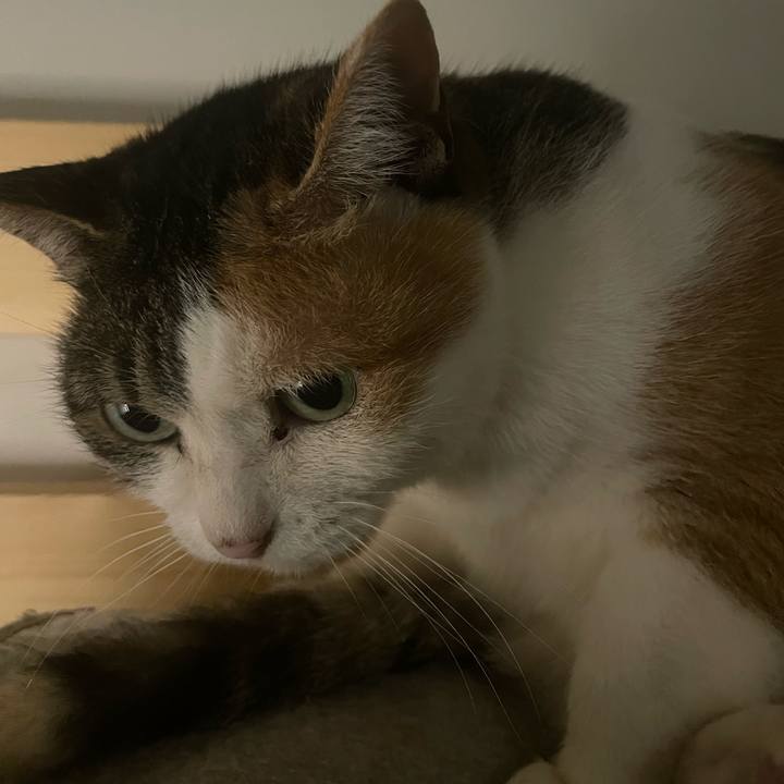 8ef93b73 0967 4b02 a5ba 907fff8e2f03 1736711931255