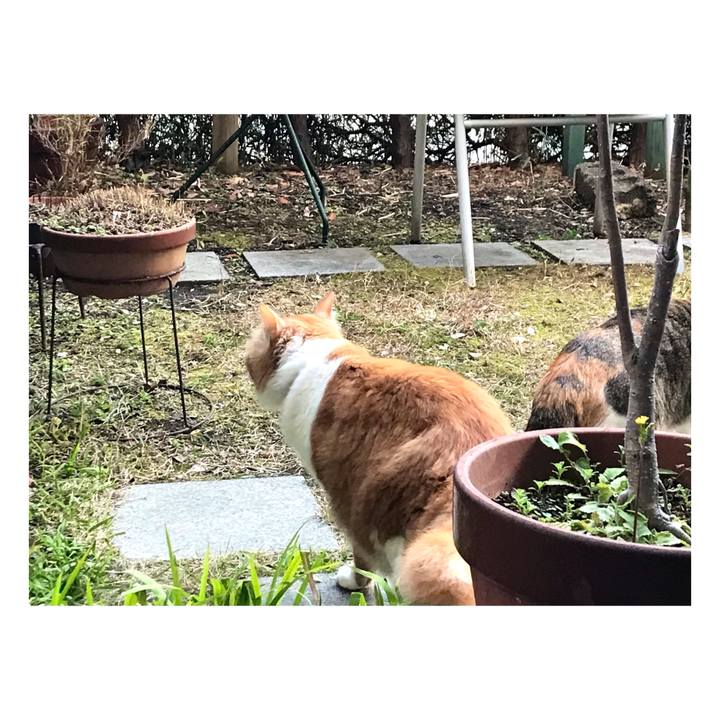 8ef9447e ab23 4563 91bf 70fa2cf7e90e 1644999220961