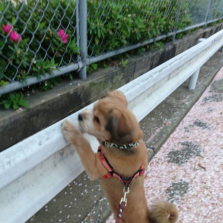 8ef954ed be6d 4e83 b437 56d041a8692f 1522840407648