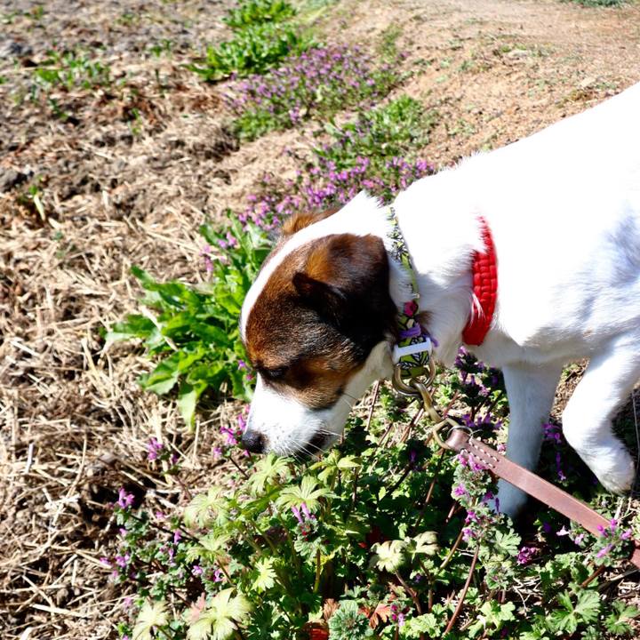 8ef99ab8 4b01 45da 9c51 3293a748fb3e 1551072461427