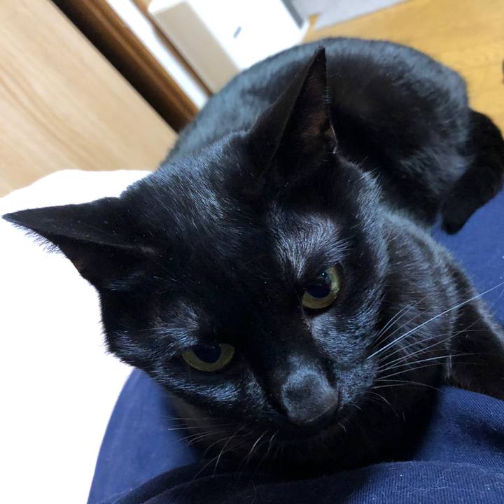 8ef9ccac 05b1 4997 b30b 0d59634a48af 1709217980487