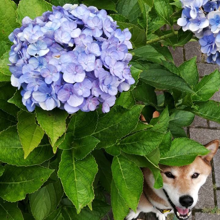 8ef9dce0 62d2 45f7 8618 3caffab1e9c7 1627544363594