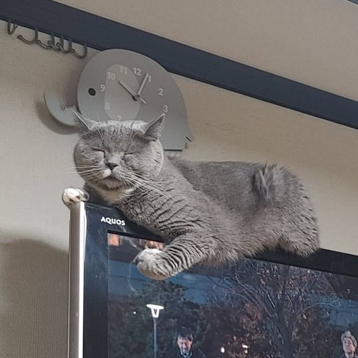 8ef9e331 bc27 41c1 b712 c8d238a71762 1767532052585