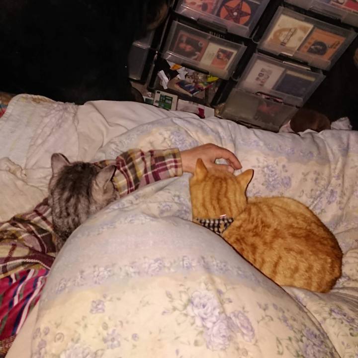 8ef9e74a 0a2e 4ab9 b363 c6d5cf507715 1607944904015