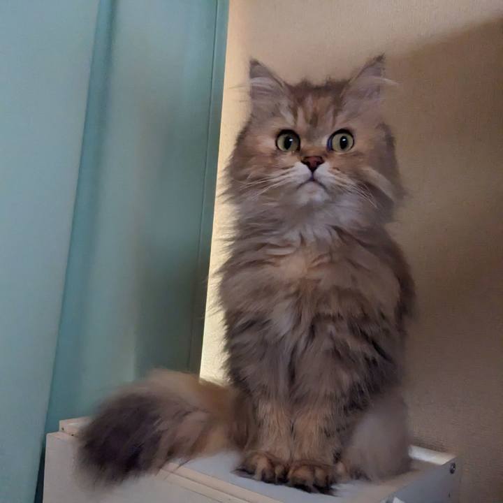 8efa1286 27d4 4587 802e 4e435a95b690 1682474011581