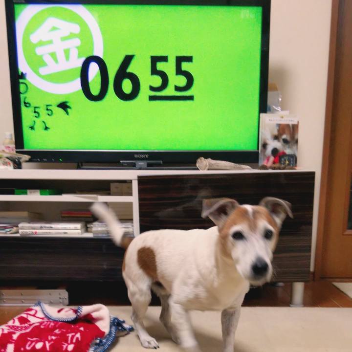 8efa1706 ac9c 4bec b5c0 68dba72f763f 1574374104905