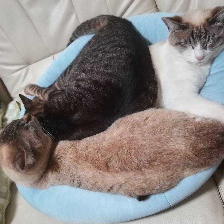 8efac703 8cf2 4366 82cf 3ea2c0692241 1524738764509