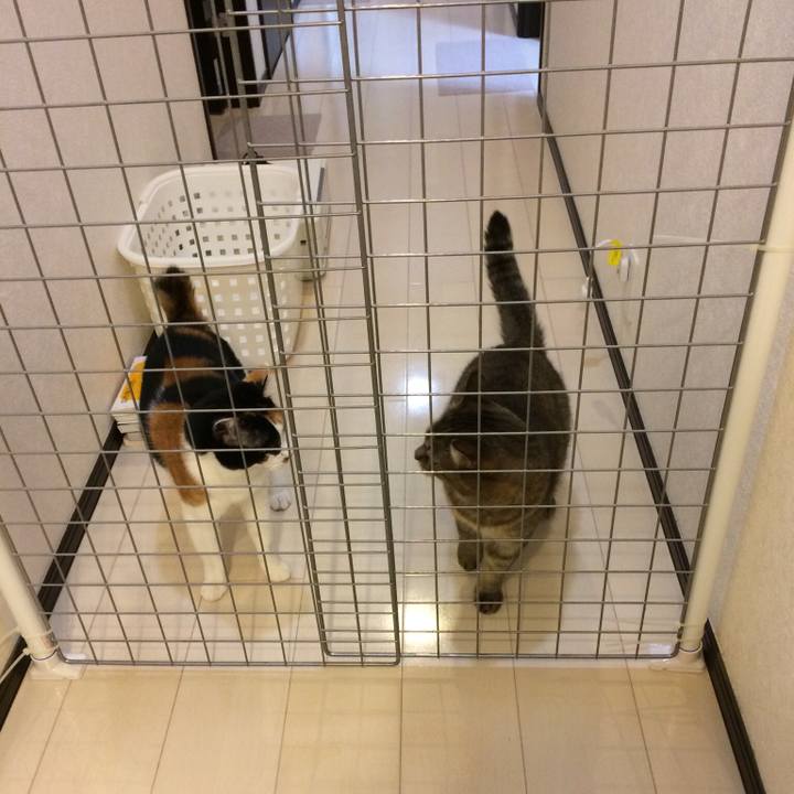 8efada5b e9a5 4b76 b17d 0229a1486533 1521861127172