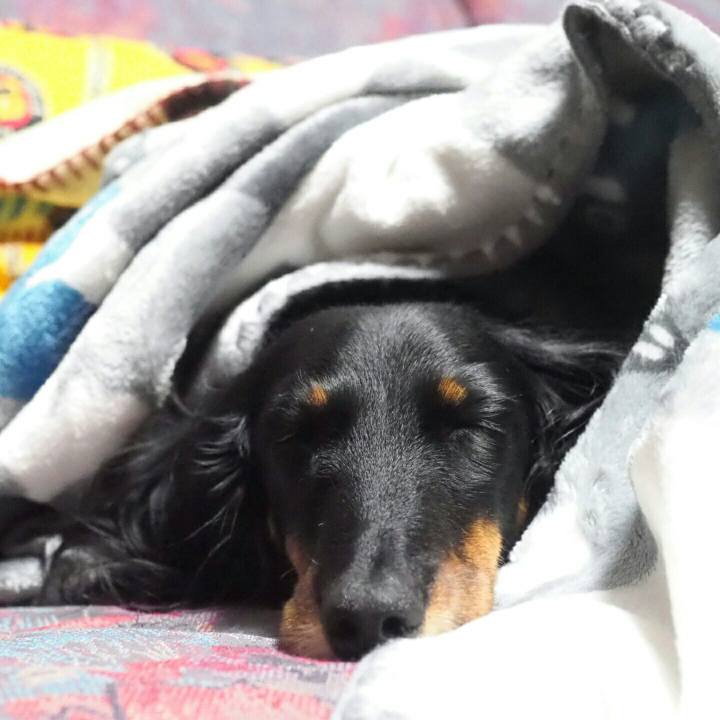 8efae43a 6116 4453 9567 81880409b9da 1585296179965