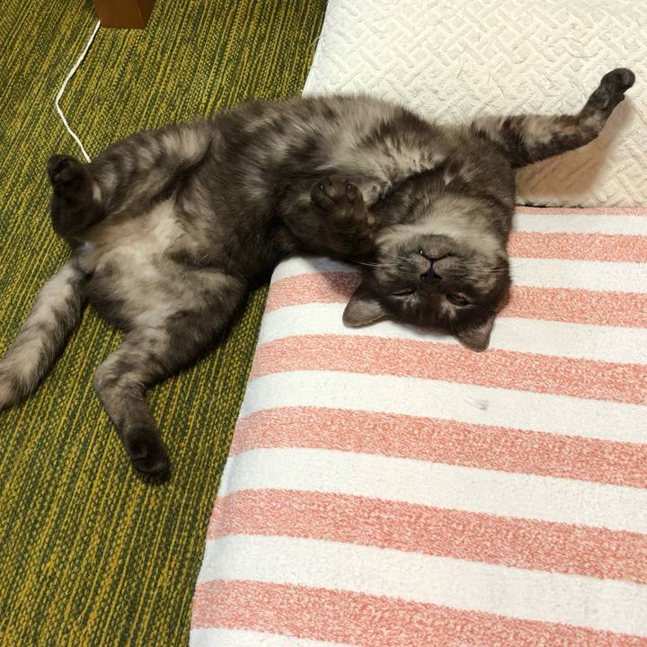 8efaf22a d12a 45db b7b6 ad46abae199a 1590916619064