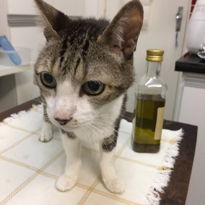 8efaf6a7 27eb 4975 9552 9aee049fd64e 1553383333469