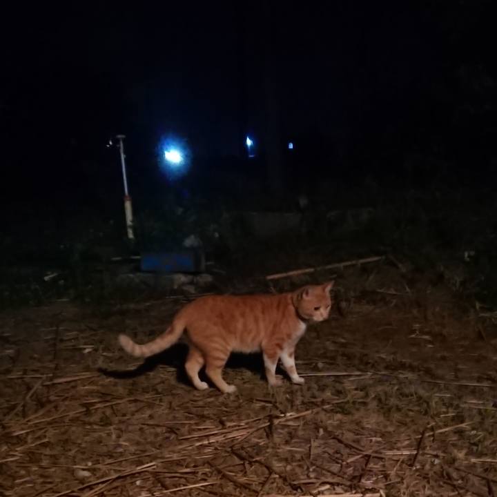 8efb10d4 b0c0 4a83 82c7 3287f2a2e9f7 1592567990287