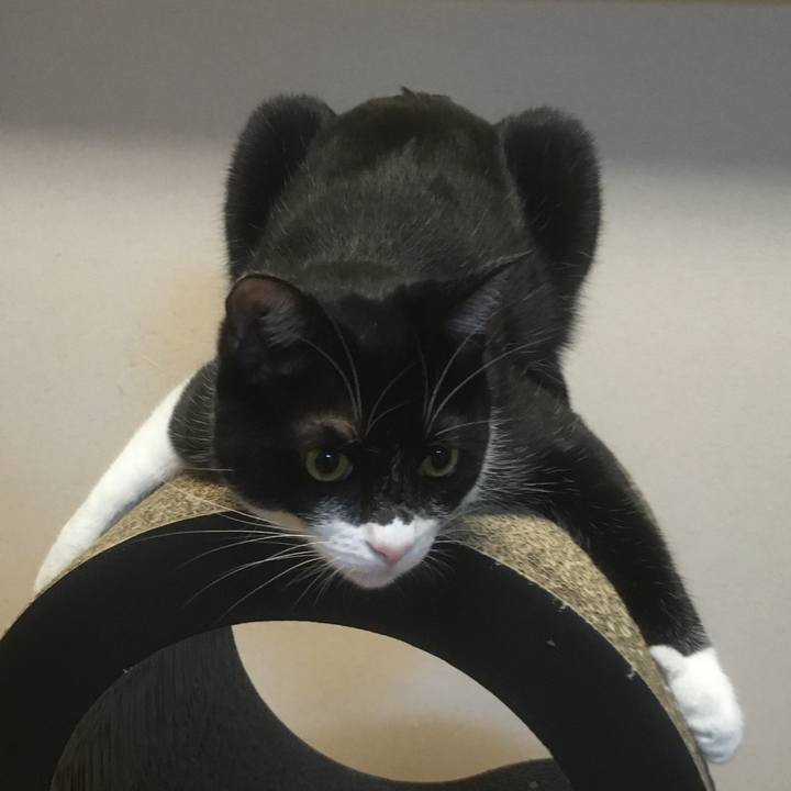 8efb2446 6713 4eef a9e0 f585d25063f2 1545737018908