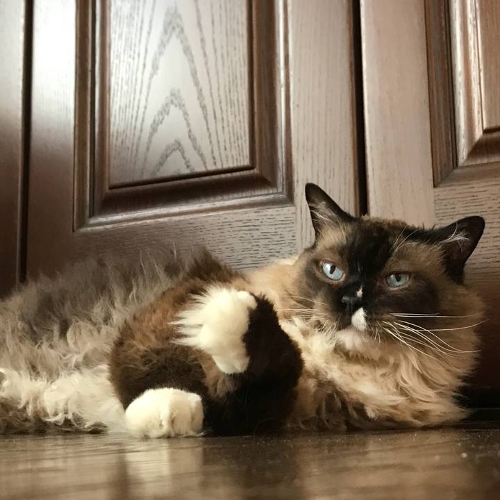 8efb31f1 af24 439a 871d 264dc51f66a4 1530318073504