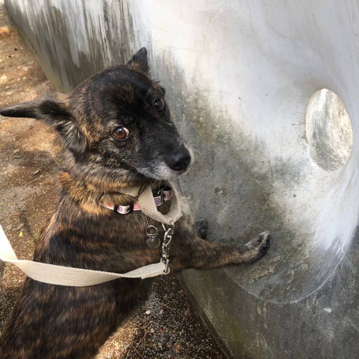 8efb384a 0cdd 45c1 9786 7f945ebb636e 1553133197929