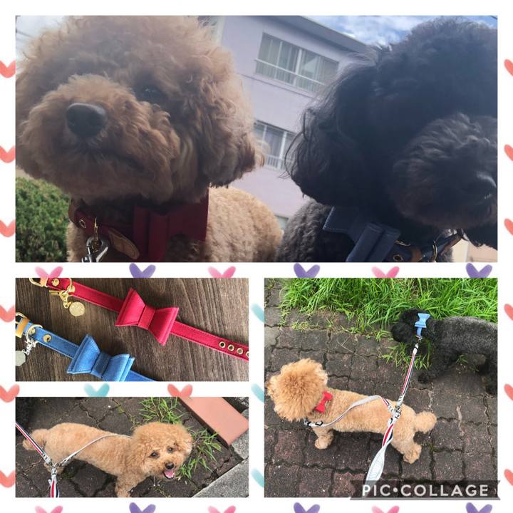 8efb4532 324f 4b0c 9c14 4828c23f9291 1594884346674