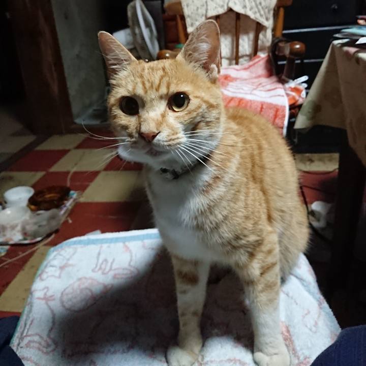 8efb4bc4 d4b0 4e3b 8689 e272587b434d 1592855985107