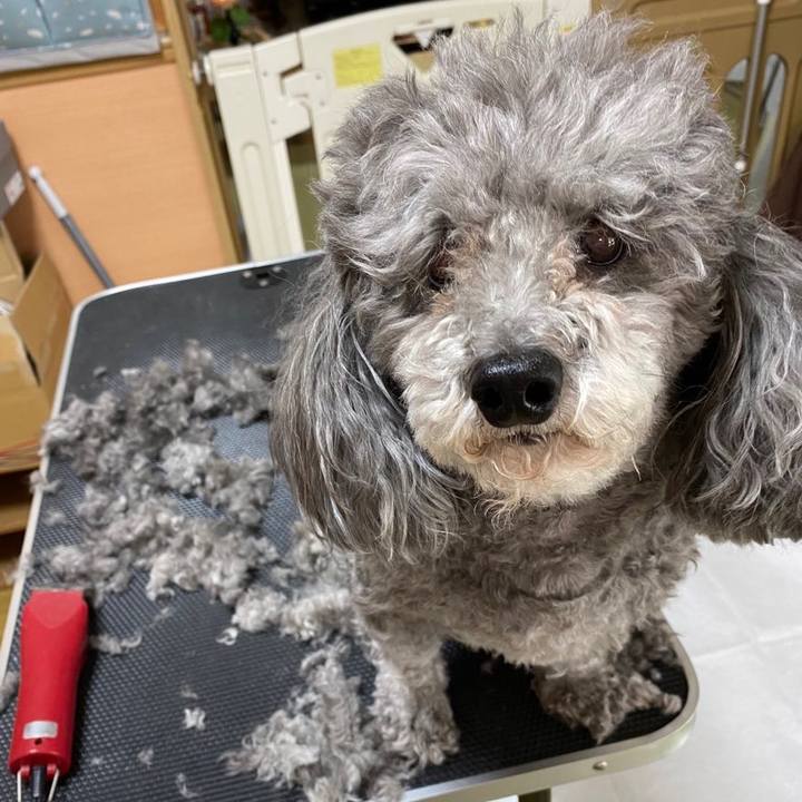 8efb53c2 9434 471e a502 5801f7ff7f5b 1640920774138