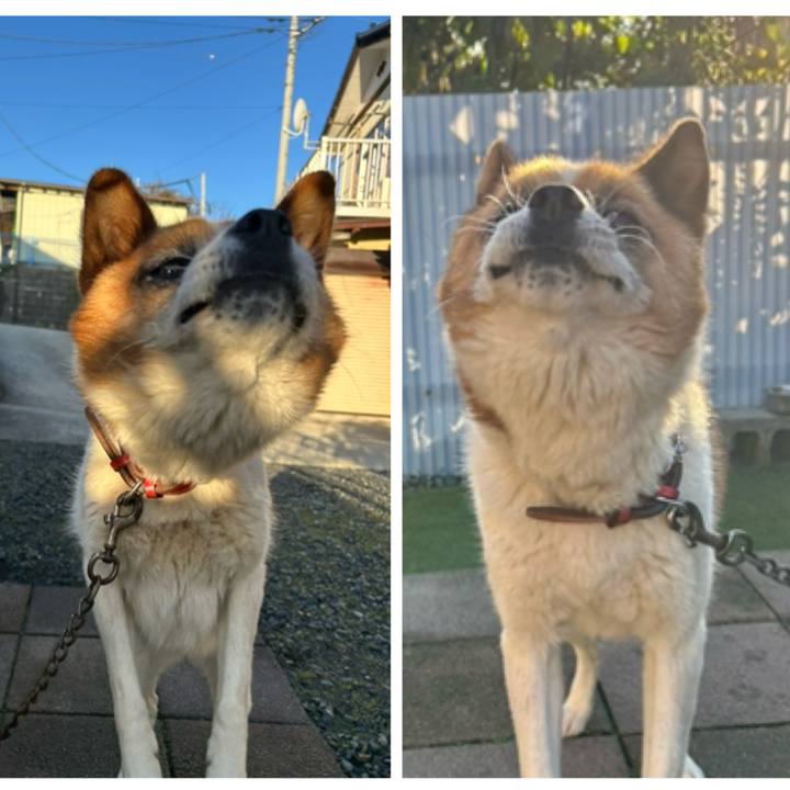 8efb68c8 8eac 4e3b a75b f84b963b5a06 1762380724850