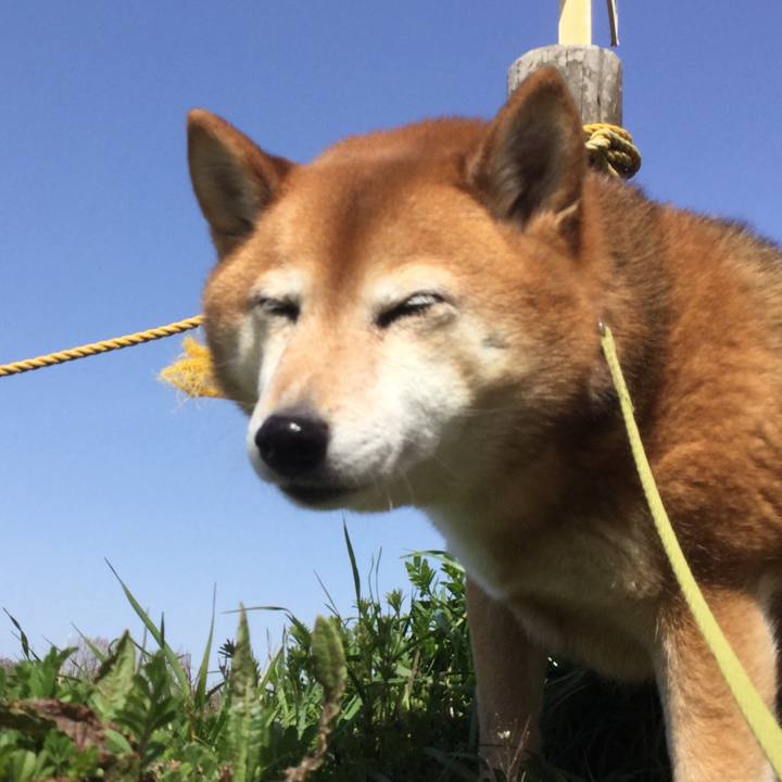 8efbab4f 4714 40c2 9213 1497ae2407bc 1615954135500