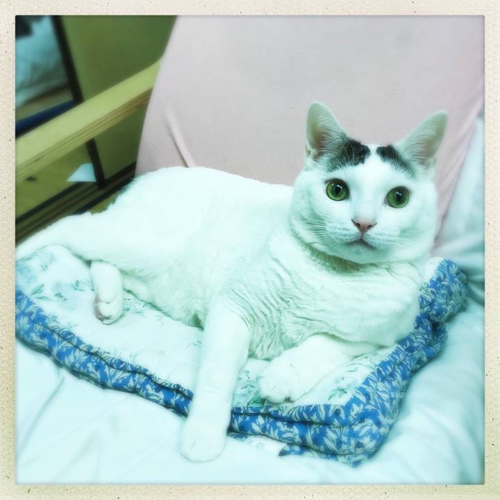 8efc1422 3902 42df 8445 a53d99f41b02 1520857512648