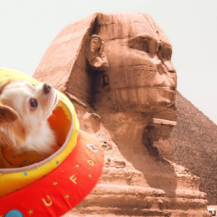 8efc25d9 87b3 47a3 b9bd 3da8853264e0 1716861808155