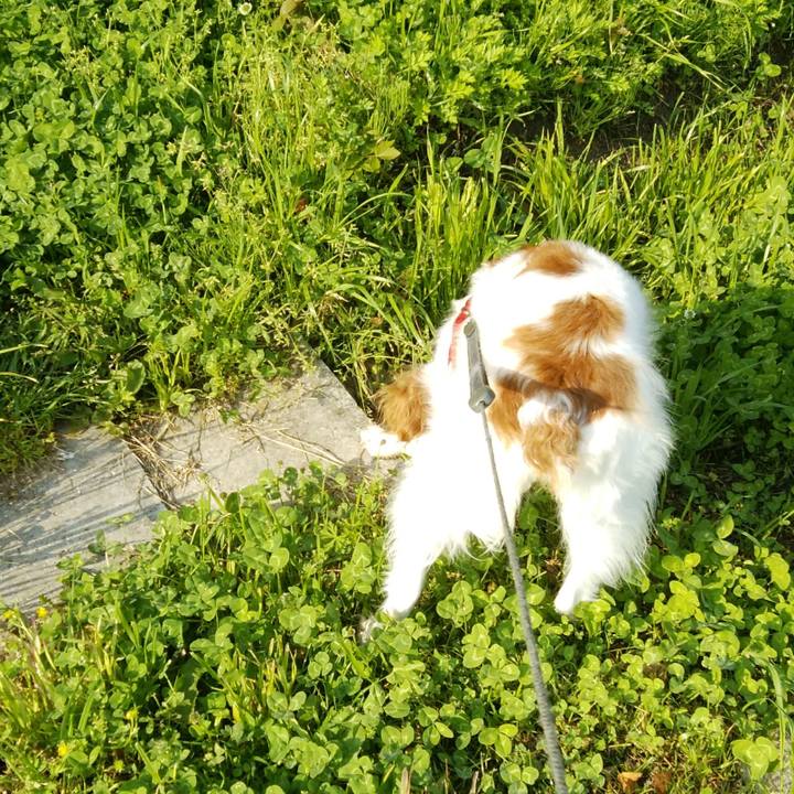 8efc3db7 830f 44eb 89ad 1e224da8cbe3 1524485660893