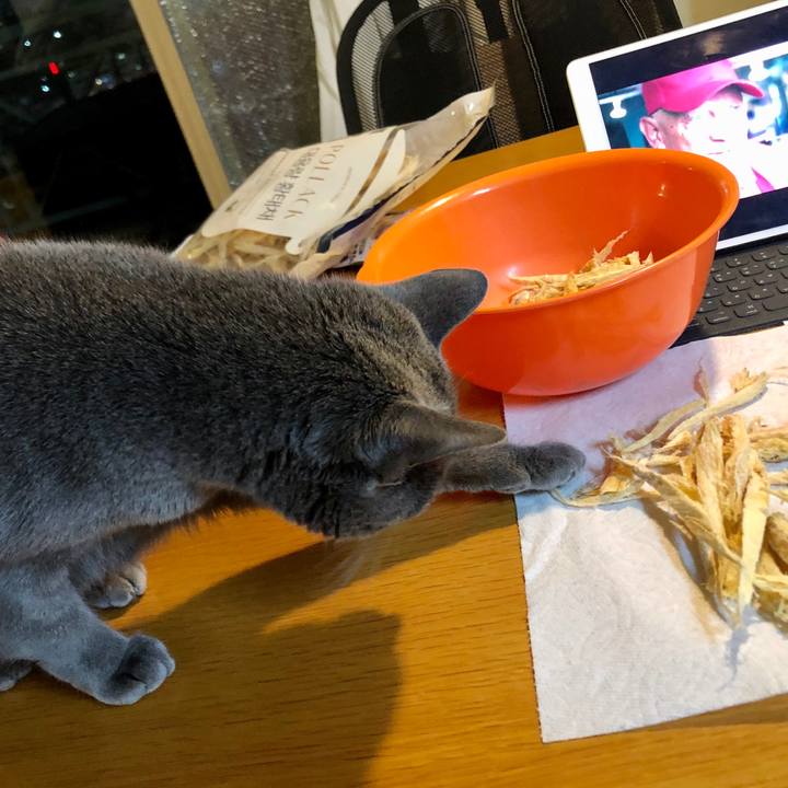 8efc4ce0 457e 4b6e b227 acf15186e92c 1585268927308