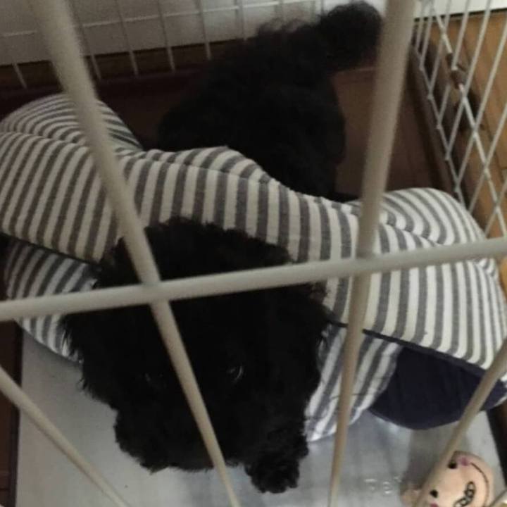 8efc6e47 4f06 4b46 a0df 908b5bc29e83 1629532211343