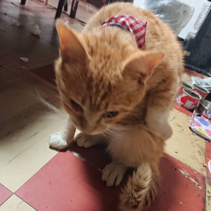 8efc9e2c ee2d 43c5 b838 870e5f896cd4 1558469600872