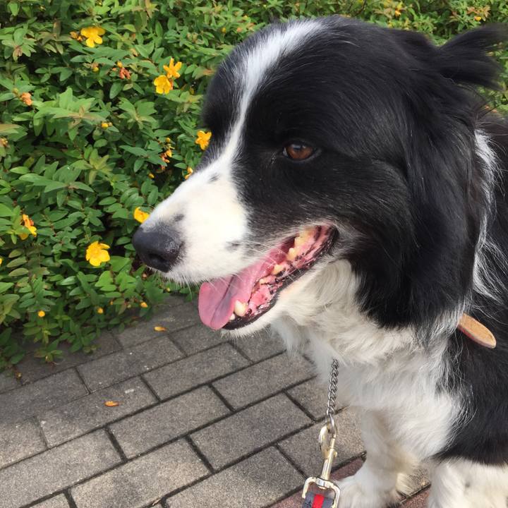 8efcaaf1 f429 4ad5 874a c3363e4c9d99 1527377408277