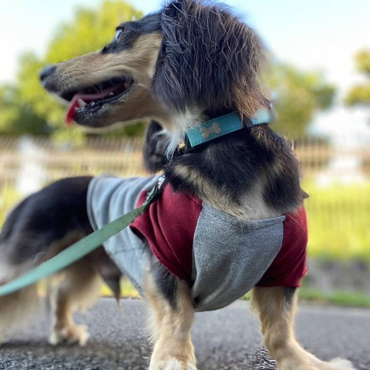 8efcb7b6 dfbc 4d8d 908d a05f6633d00e 1726183124608