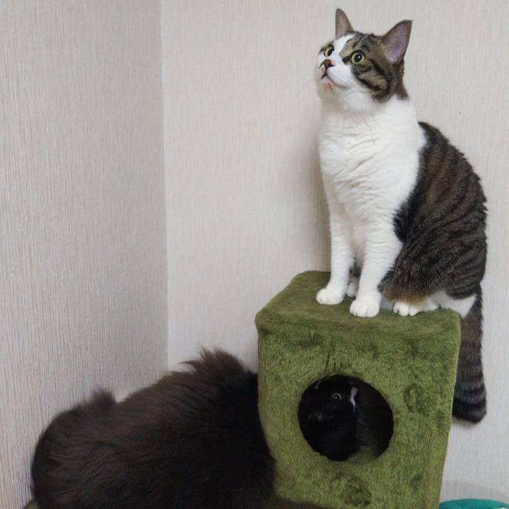 8efcc1d3 e57e 4b42 ba82 c3d9f0260435 1663710263732