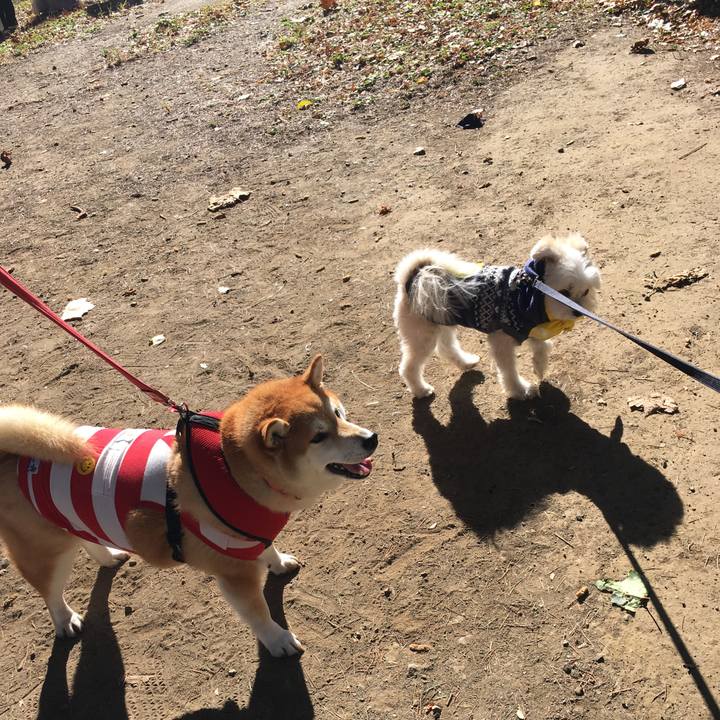 8efd32a7 93eb 4c32 98f0 741f49b3d584 1606544998768