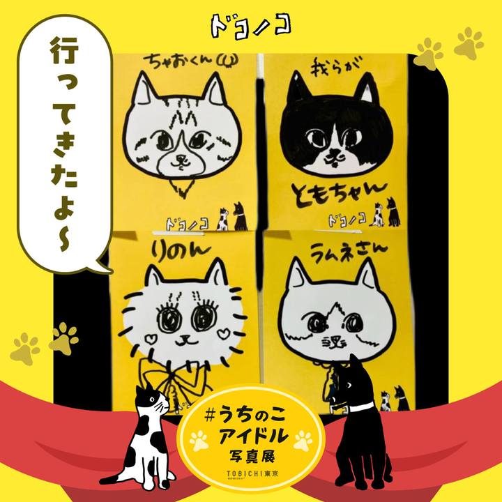 8efd5be7 d450 4a80 ab34 dcbde409431b 1762146662769