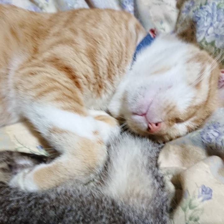 8efd6280 3ef2 40ff b3b7 fde82654d8a4 1563719205186