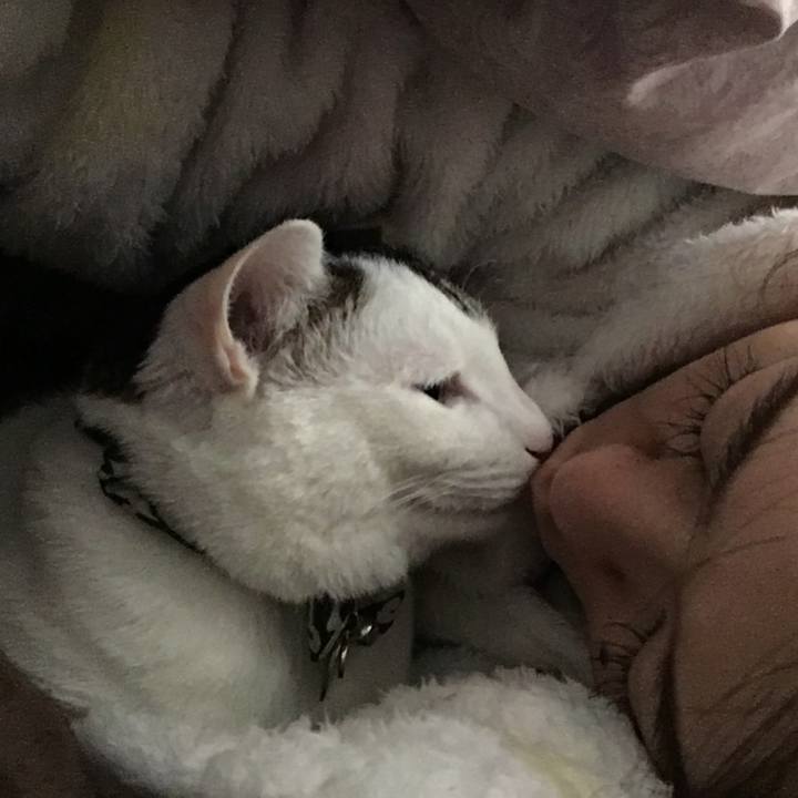 8efd8a75 68d5 4da7 b074 964897544e35 1518409170932