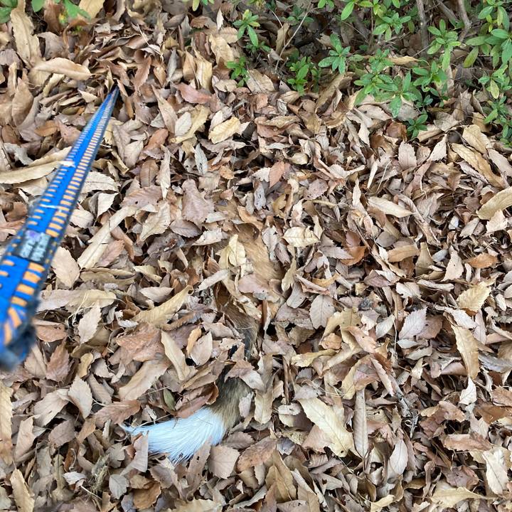 8efd8f93 9e32 44da a2f0 6723ff6b617d 1645841558480