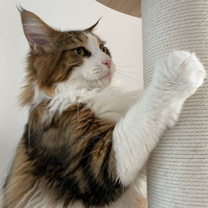 8efd8fd4 80d7 4c18 8c6e 6042bf6b760b 1652045888480