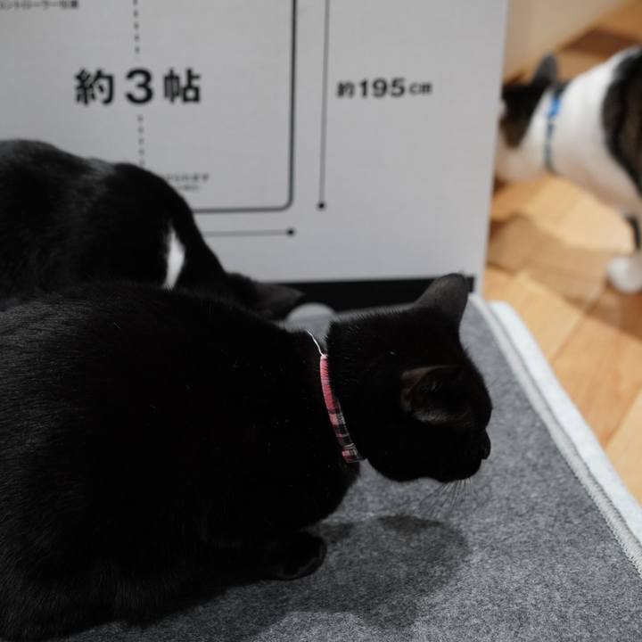 8efd9d89 cd7b 4b74 80da 60e0c0aaf7b5 1575812294458