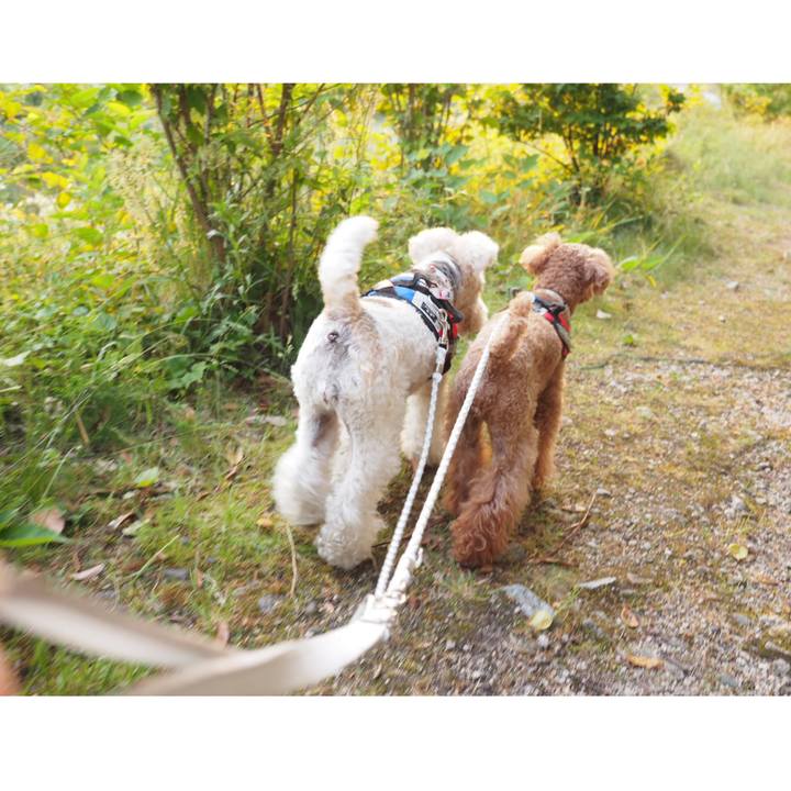 8efdbef8 acaa 40d7 a395 d5f78686a2d7 1558825108500