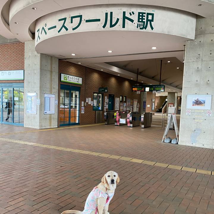 8efde7aa 0d10 4d11 9e9b 6bccb8e325f2 1619688971634