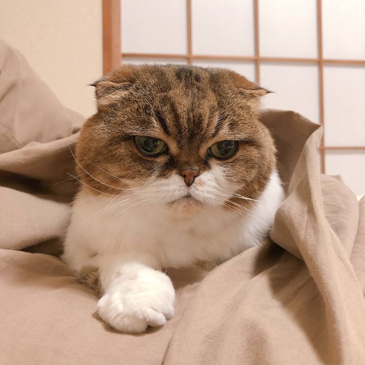 8efdefd5 7d4f 4144 8d37 a3a383701418 1621864492134